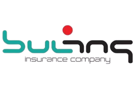 Логото на Bulins Insurance Company